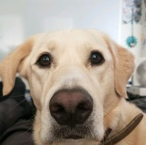 Meet your Posher, Ryan